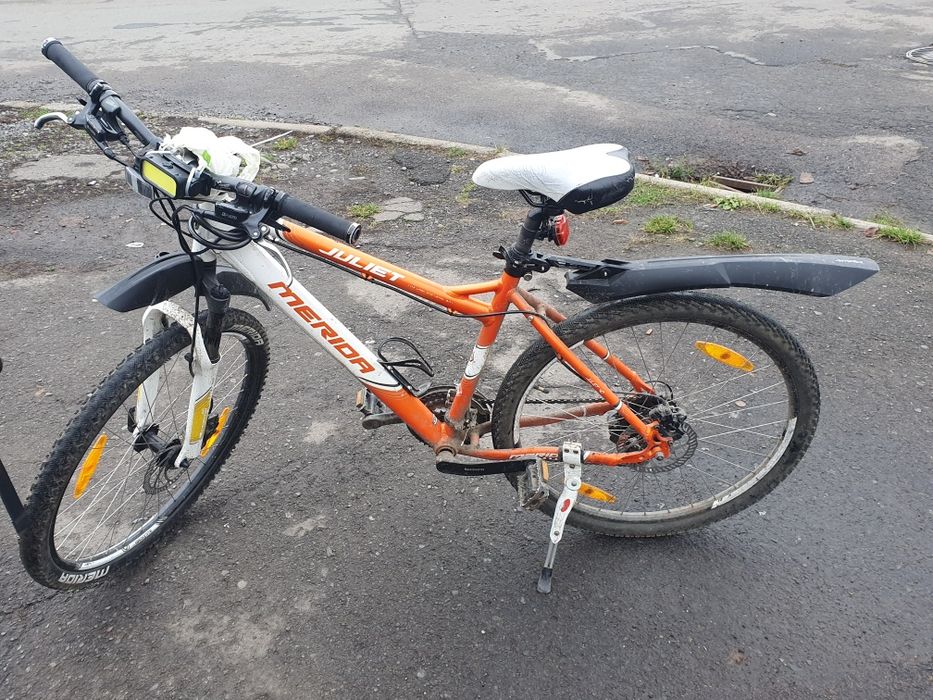 Біціглі китайські