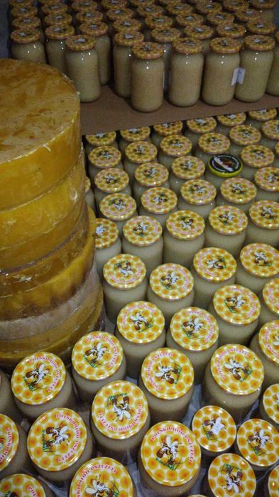 Miód lipowy, rzepakowy i inne miody z własnej pasieki