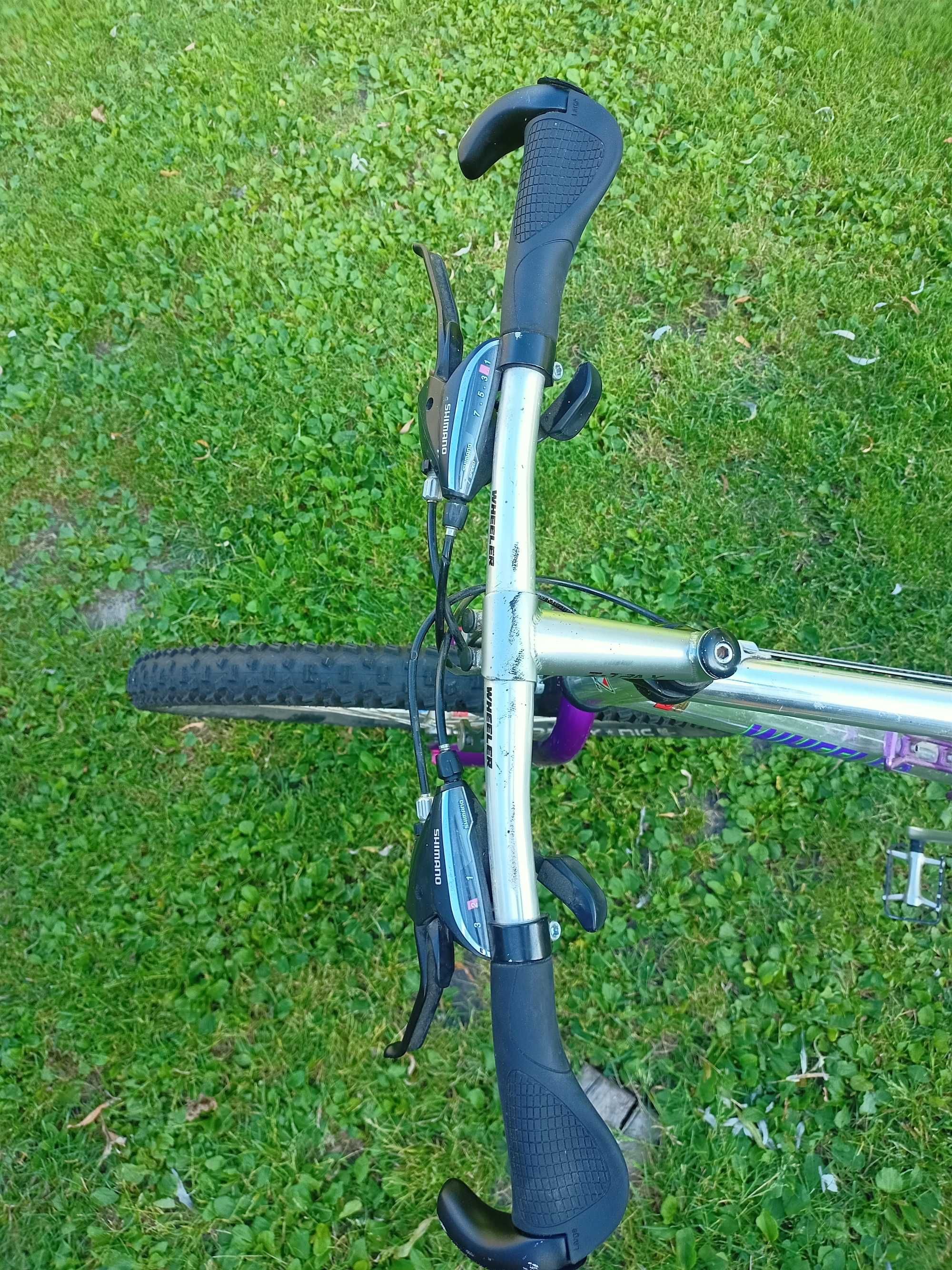 Rower Wheeler aluminiowa rama