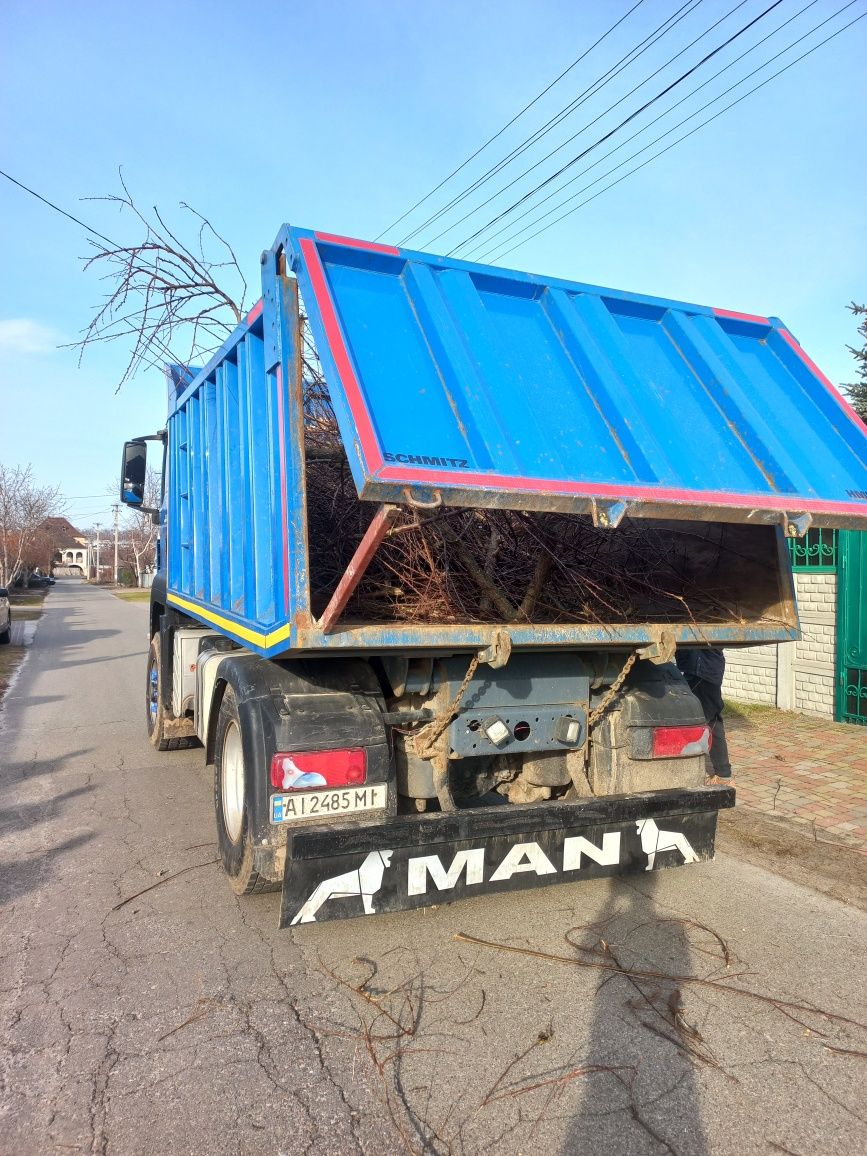 Вивіз гілок сміття