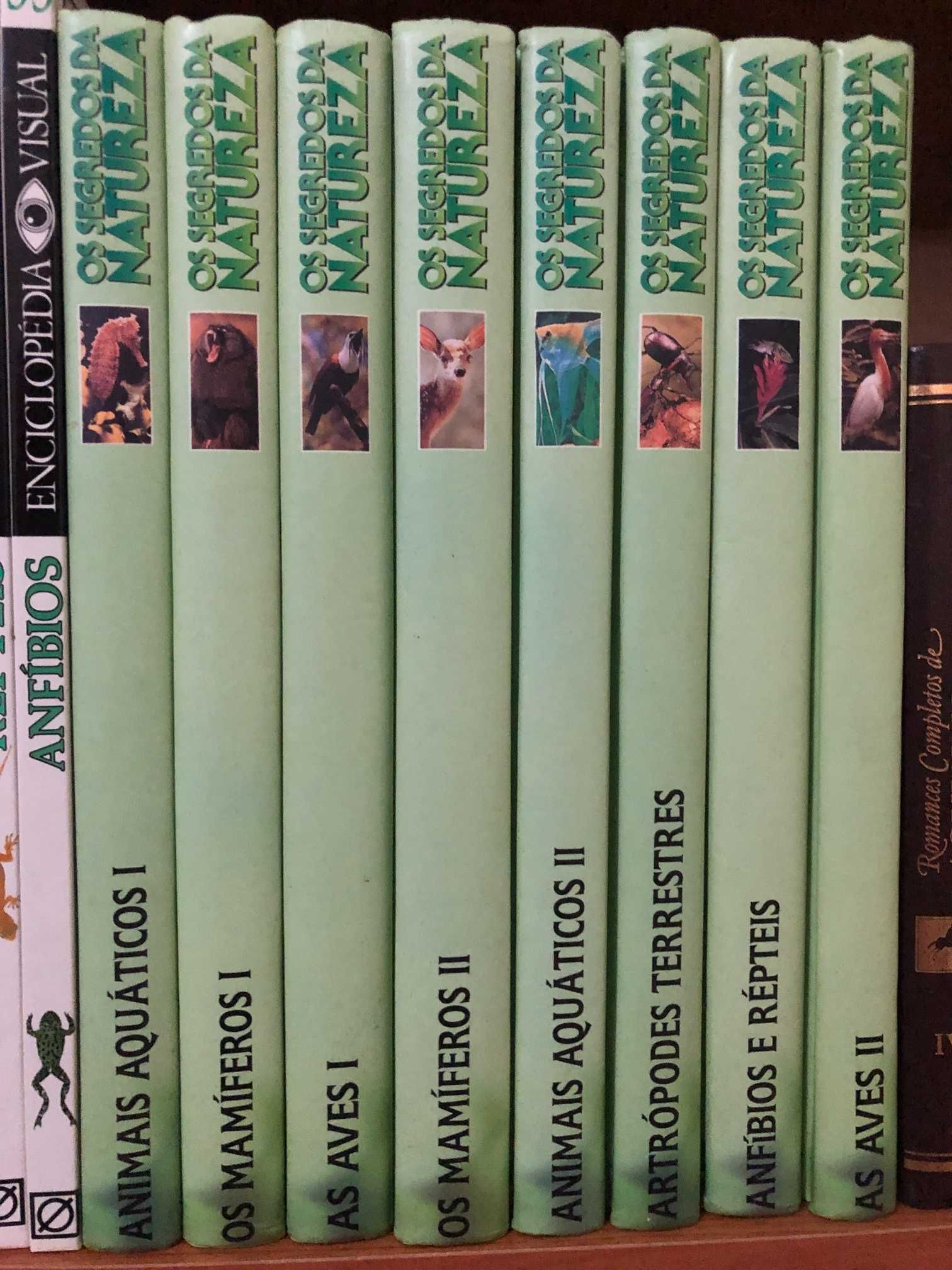 Lote de Livros de Vários Temas