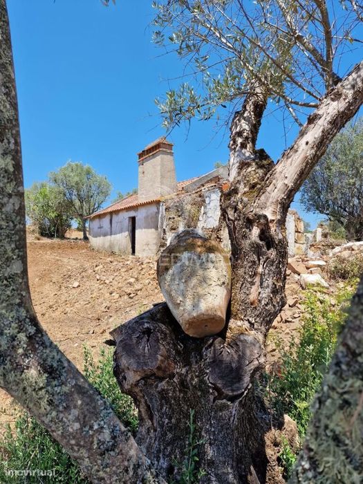 Monte Alentejano em Montargil