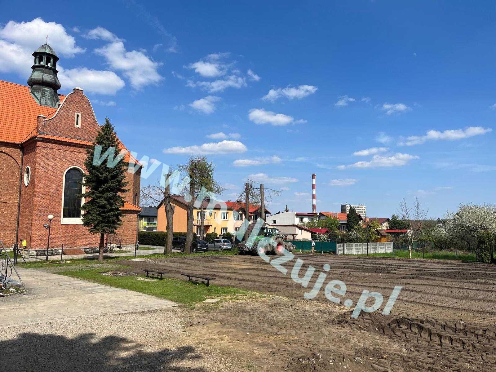 Rekultywacja Mulczer leśny wgłębny Karczowanie działek wycinka drzew