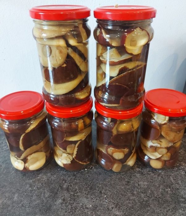 10x315 podgrzybki marynowane grzyby