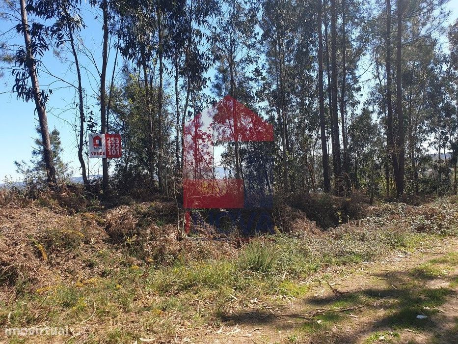 Terreno florestal, Cabanelas