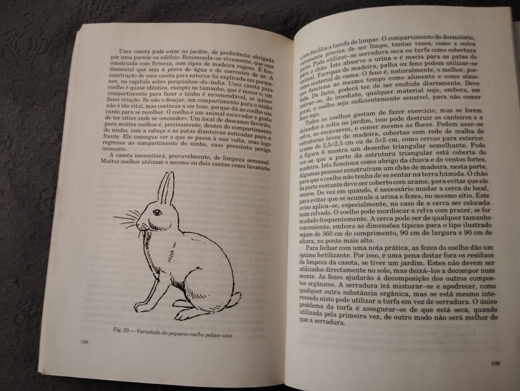 Livro A Criação de Hamsters Usado