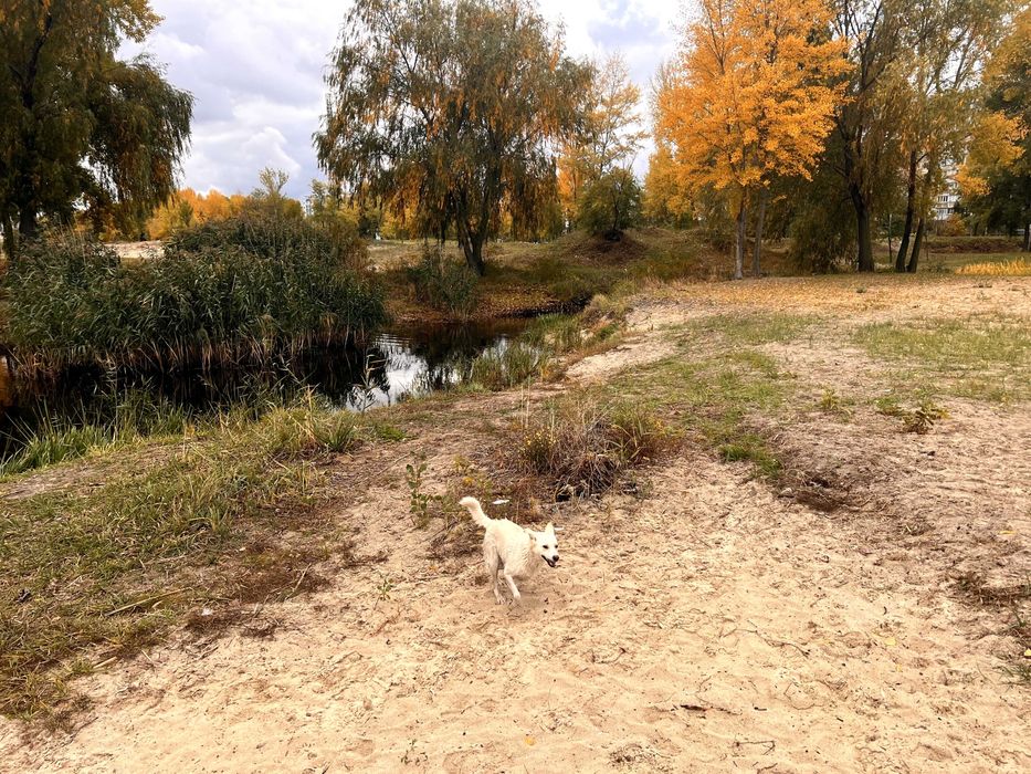 1-к квартира, Митниця, Черкаси. Дуже тепла і суха. Поруч Дніпро
