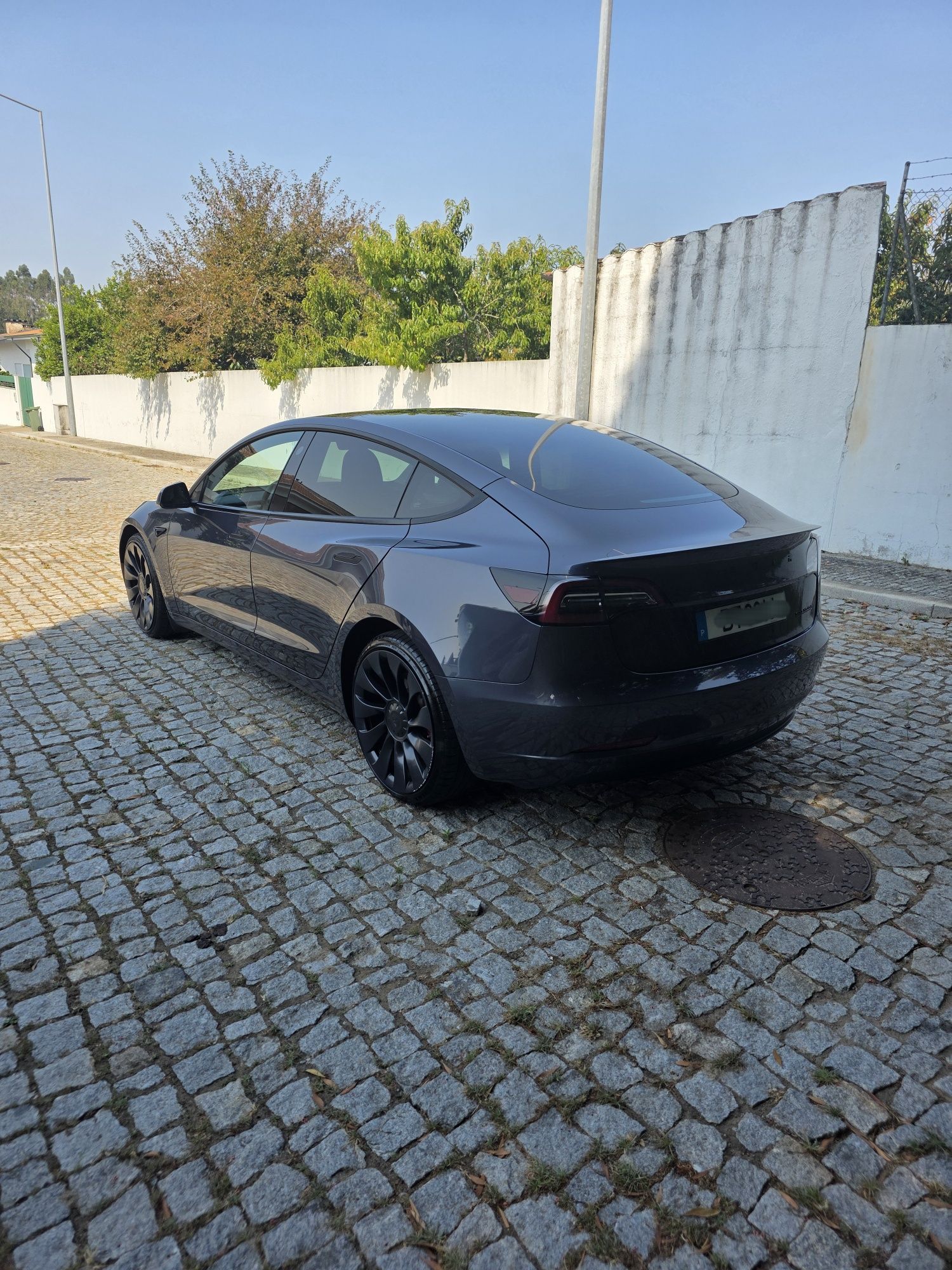 Tesla model performance