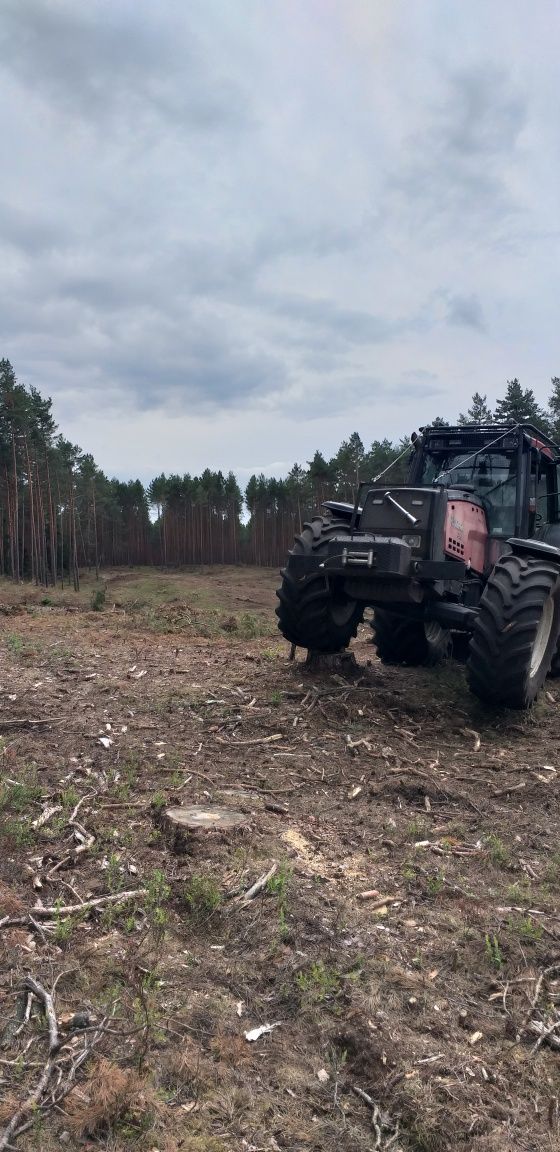 Mulczer Lesny Czyszczenie Dziale Usuwanie Samosiejek Uslugi Koparka