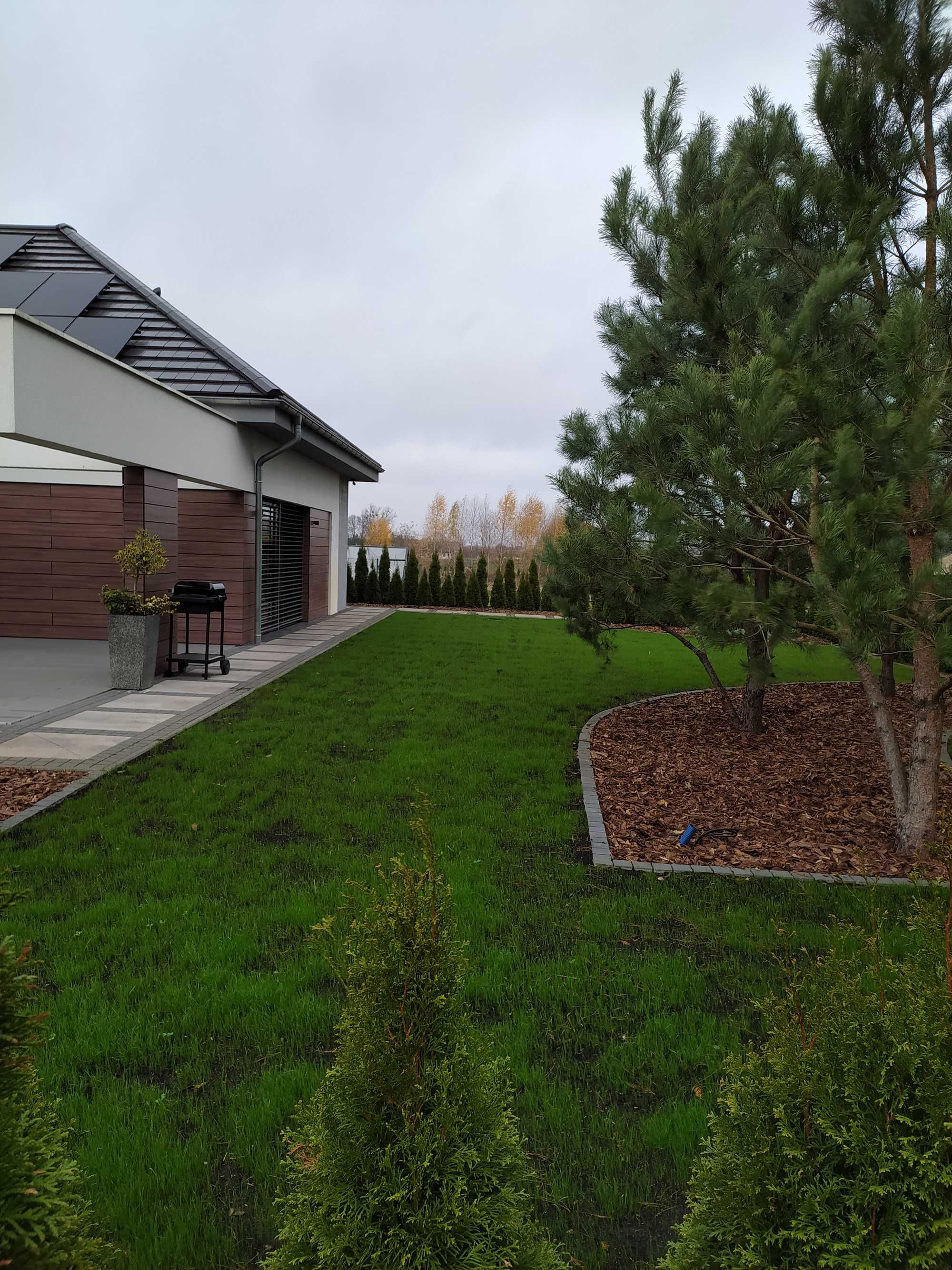 Ogrody - Zakładanie trawników, trawa z rolki , systemy nawadniania