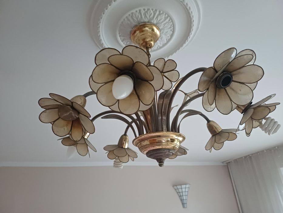 Żyrandol z mosiądzu i muszli capis