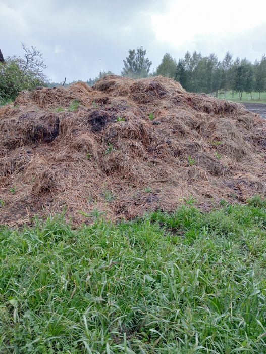 Sprzedam obornik koński