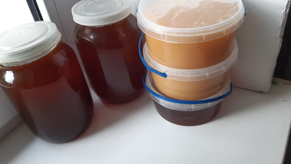 Мед своєї пасіки