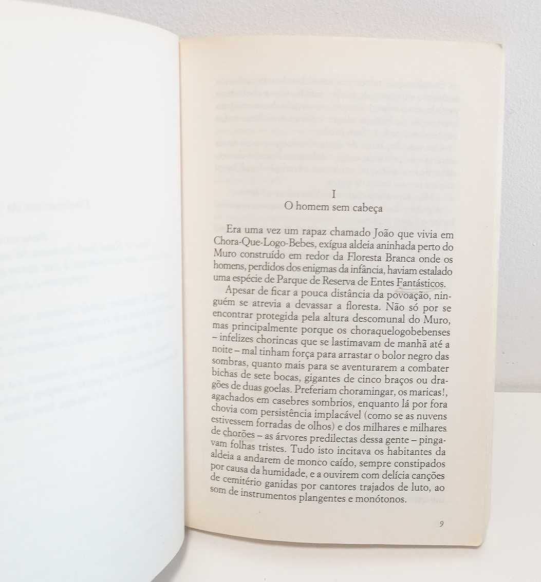 Aventuras de João Sem Medo, de José Gomes Ferreira