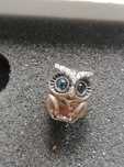 Pandora Charms Nowy Sowa
