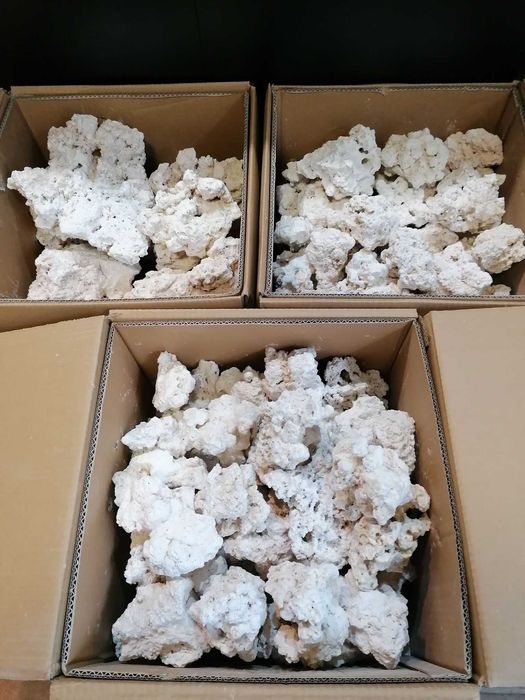 Sucha skała do akwarium morskiego Marco Rock Sklep Akwa. Turkusowe Zoo