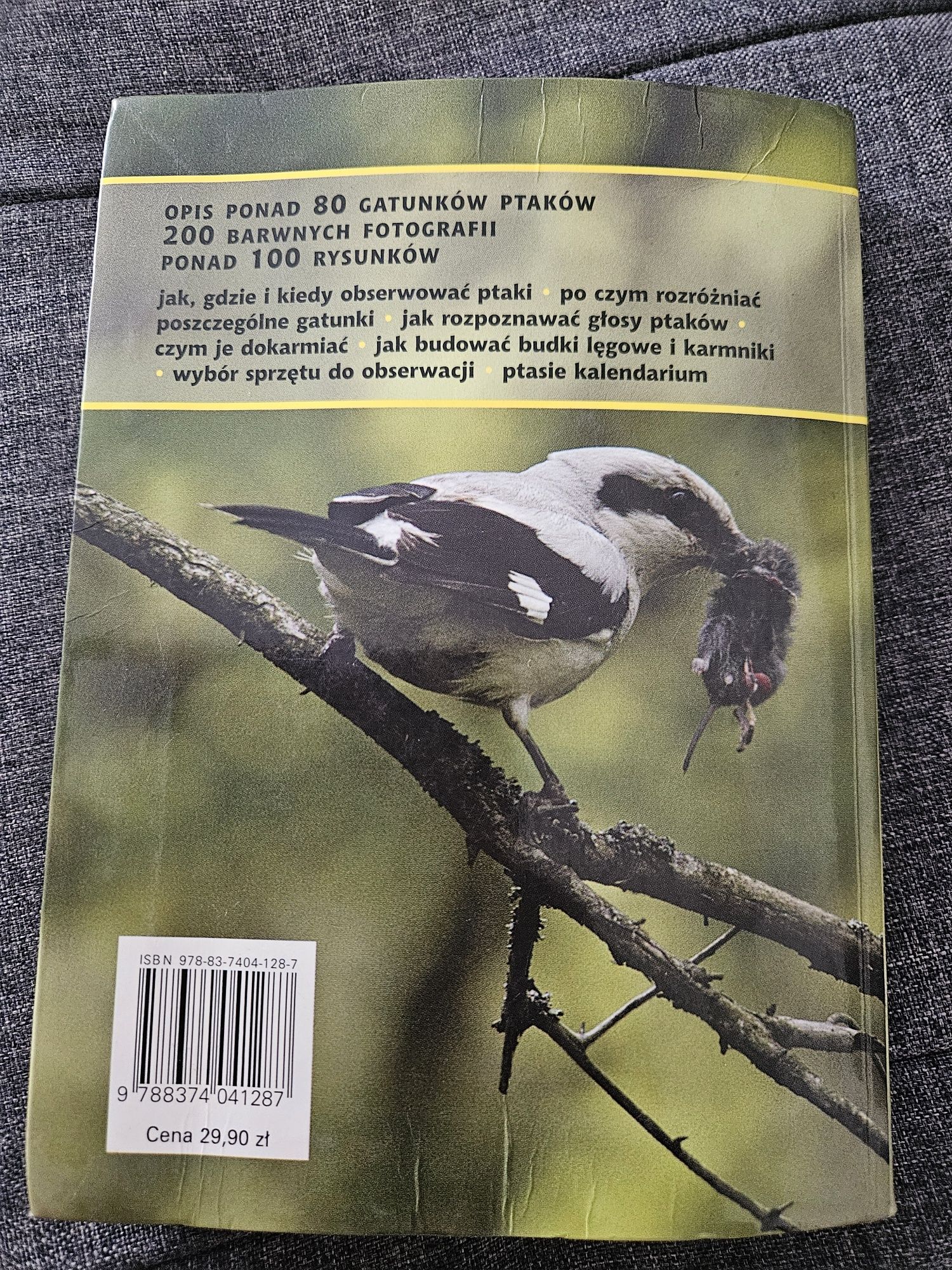 Książka encyklopedia "Ptaki"