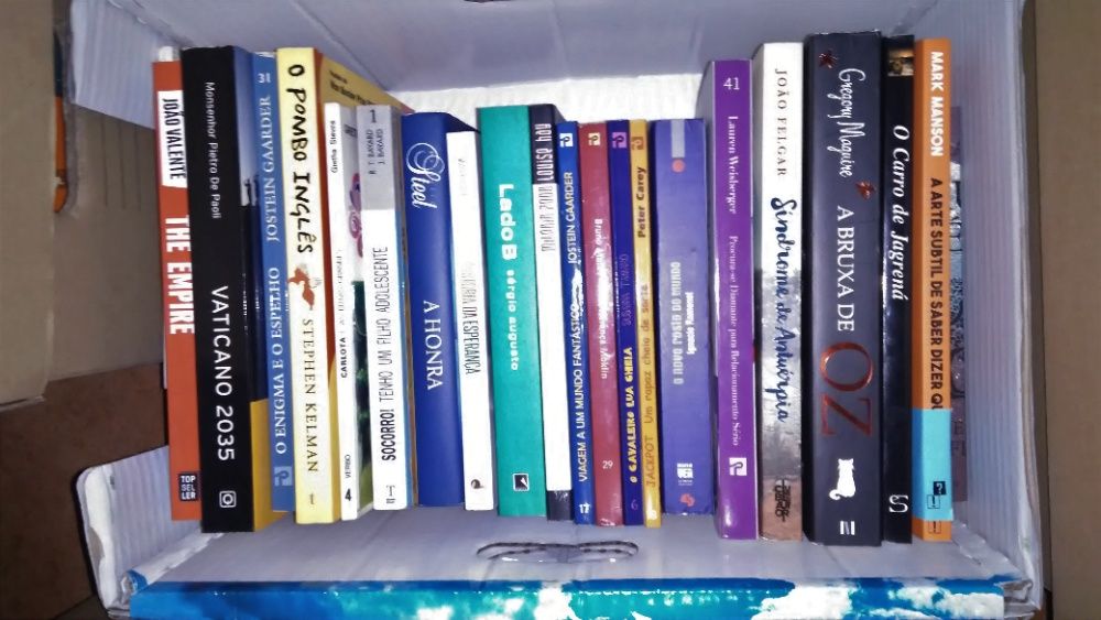 VENDIDOS EM SEPARADO - Livros low-cost - ENTREGA IMEDIATA - lote 18 ps