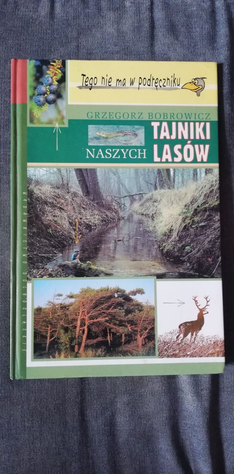 Tajniki naszych lasów-Grzegorz Bobrowicz