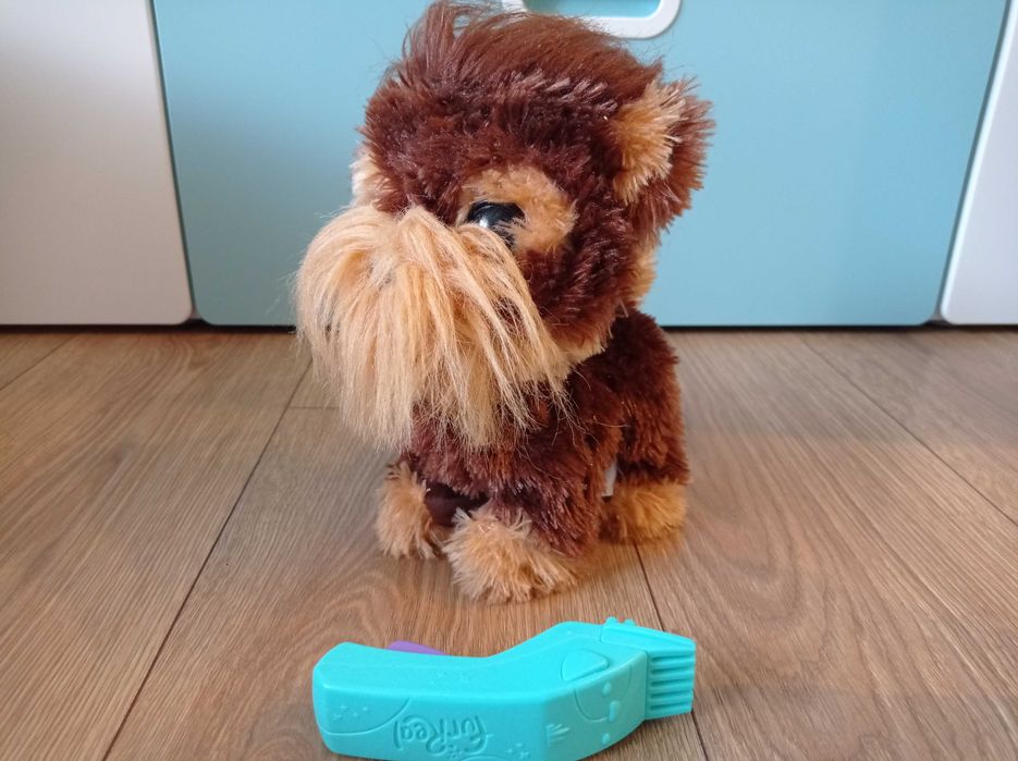 Piesek Kudłaty Hasbro