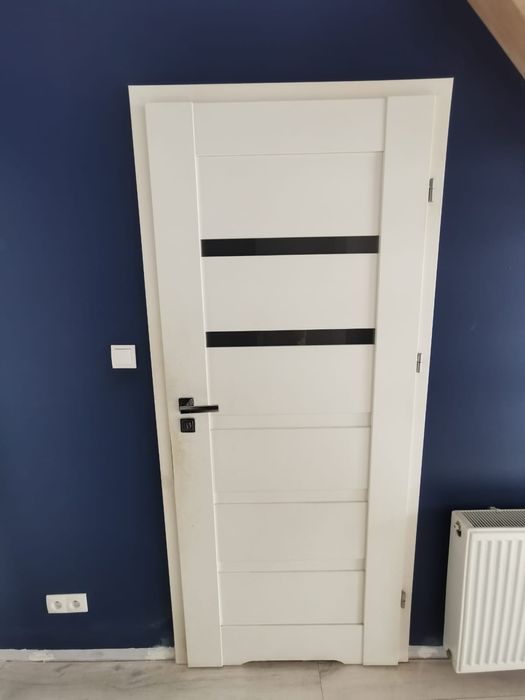 Oddam drzwi wraz z ościeżnicami.