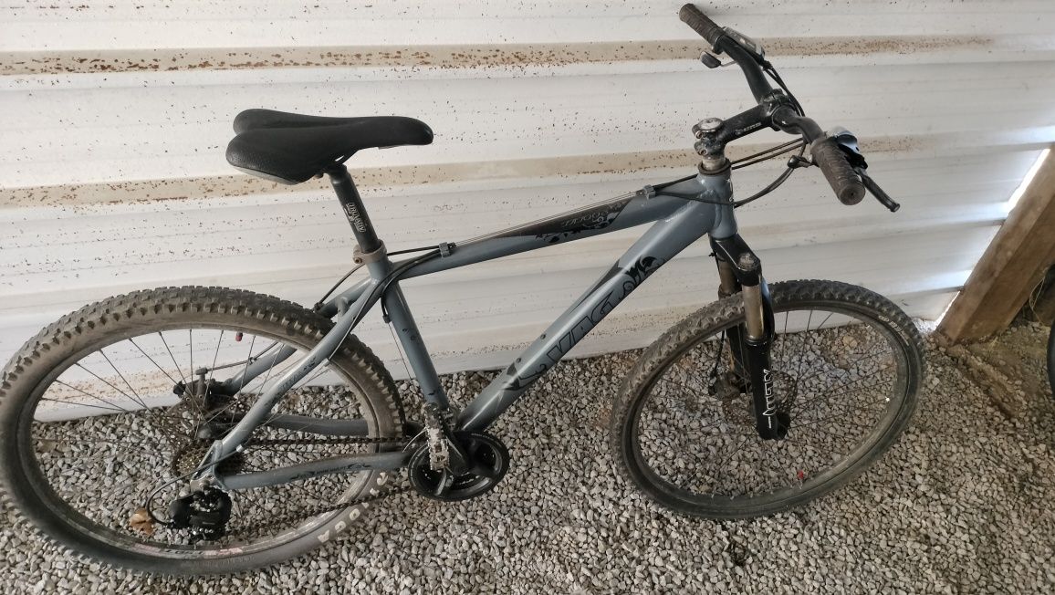 Vendo bicleta 110 €