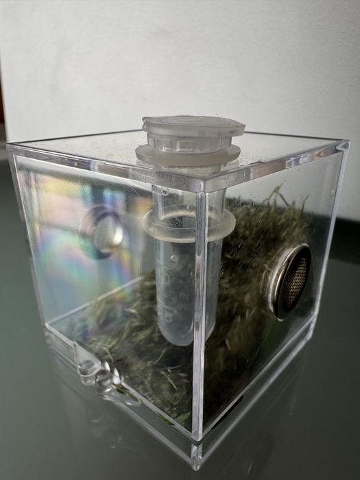 Kit Terrário para aranhas, répteis, insectos etc.