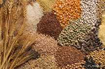 Продам Соевый Шрот, пшеницу, ячмень,овес масло подсолнечное макуха