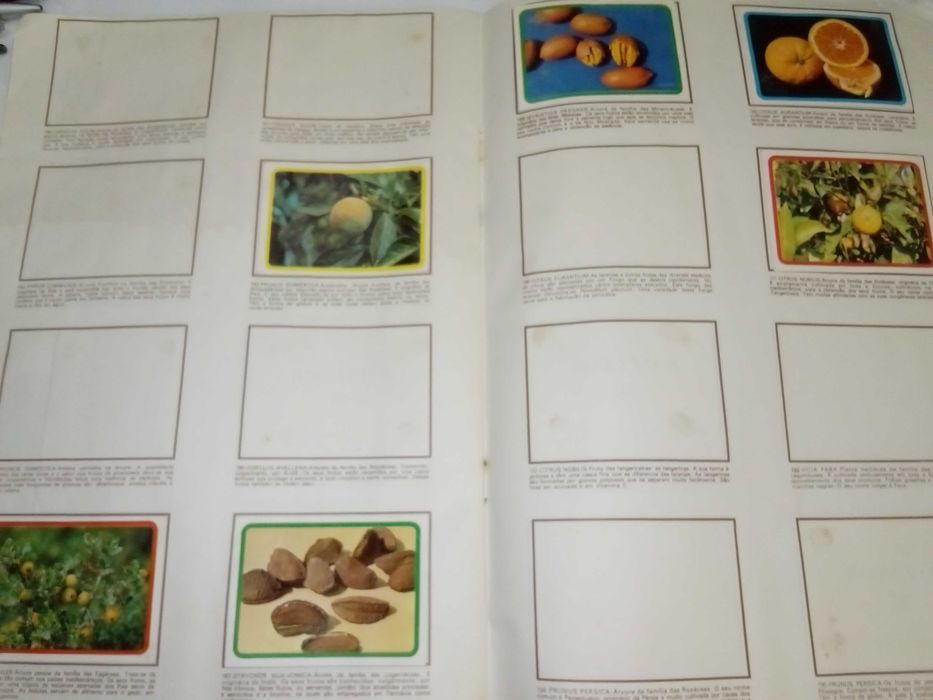cadernetas botânica de 1977 e caderneta moedas do mundo