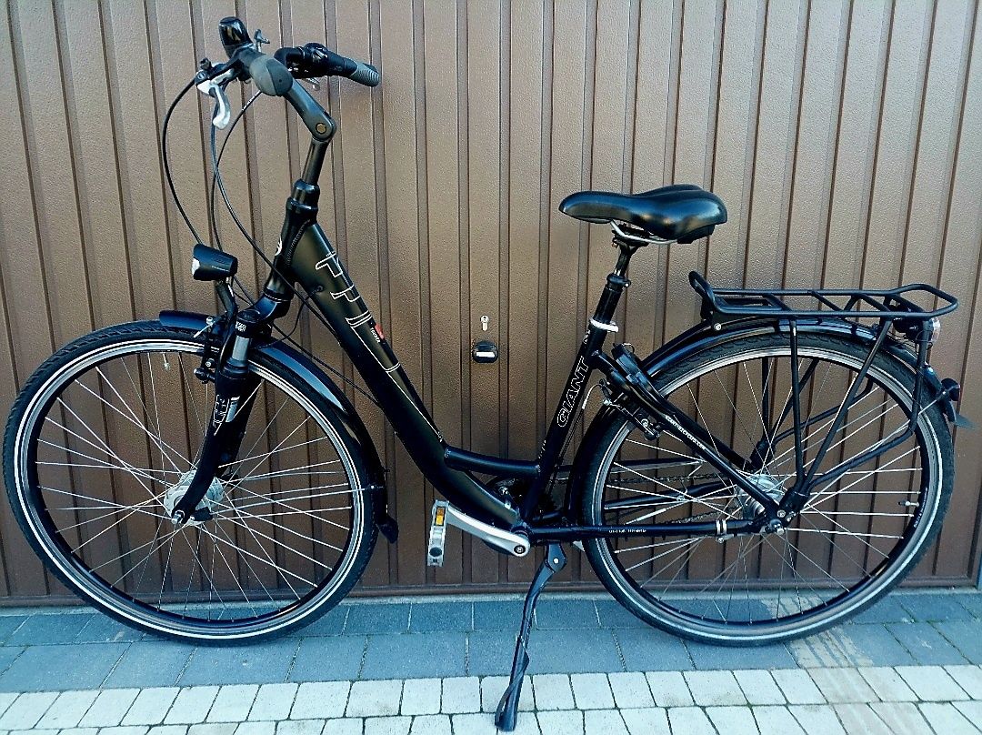 Carver Cyco Pegasus Kalkhoff Kettler  Giant