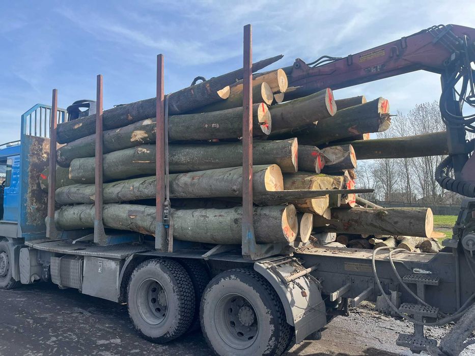 Drewno kominkowe, opałowe. Wałki
