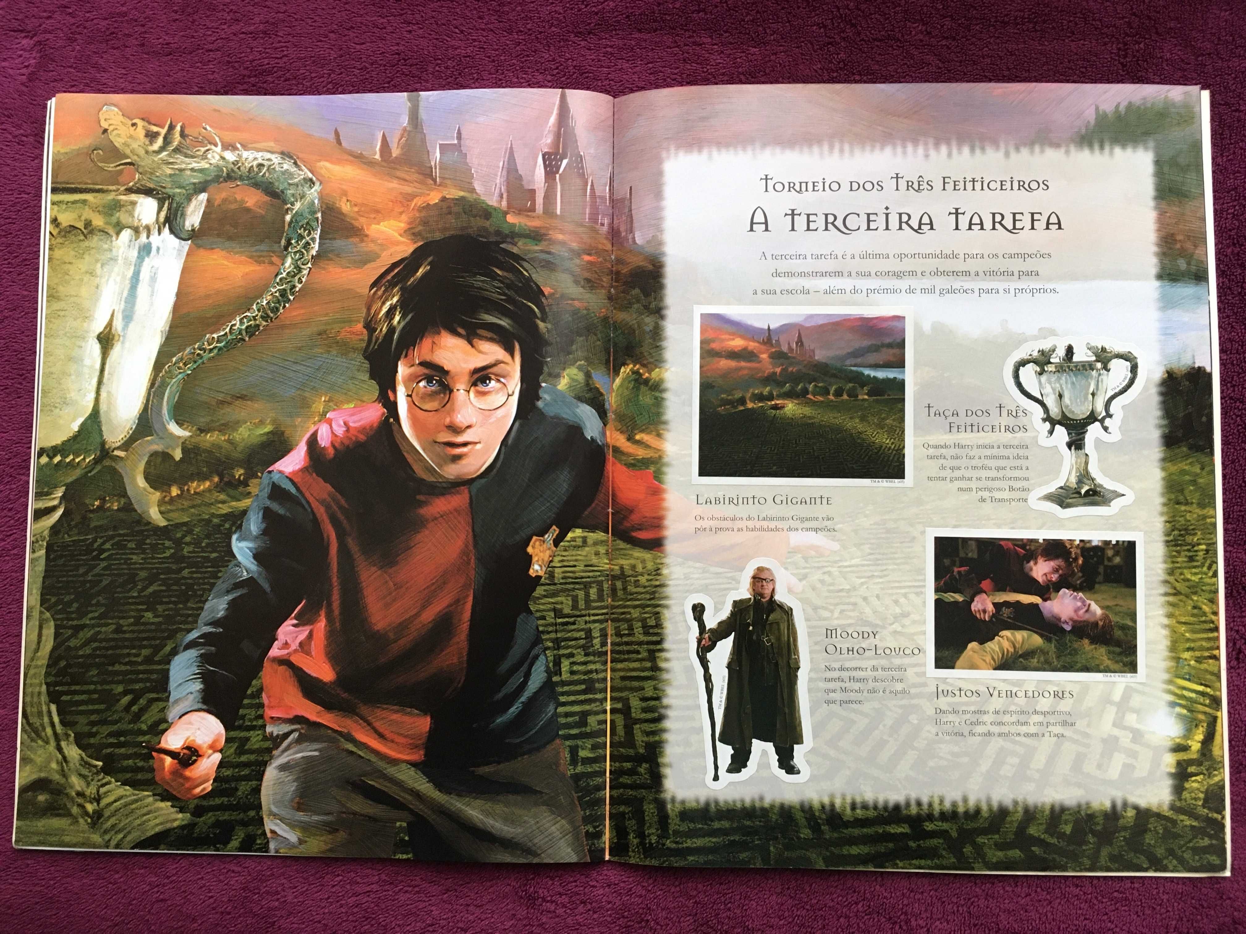 Harry Potter e o Cálice de Fogo, Álbum de Autocolantes