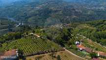 Terreno  para venda