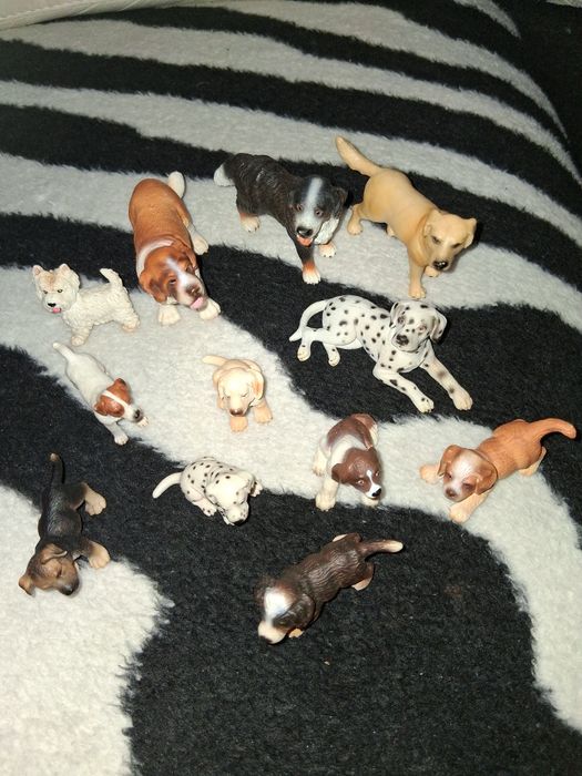 Coleção cães (12)