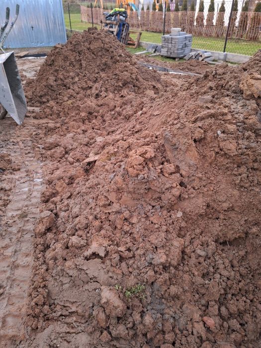 Oddam za darmo ziemia z korytowania