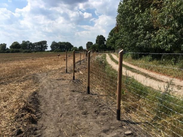 Siatka leśna ogrodzenie - działka plac budowa uprawa gospodarstwo