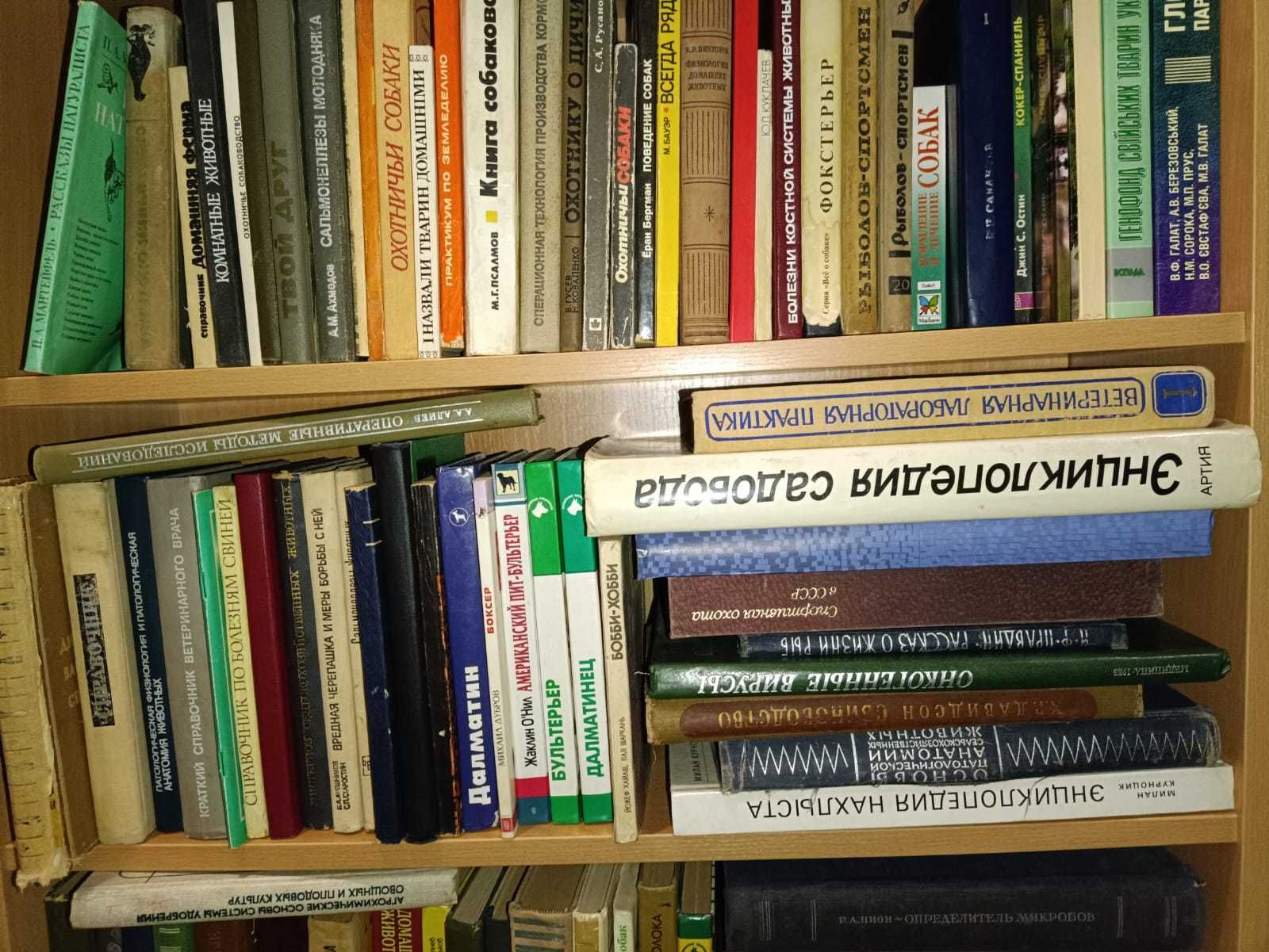 1. Биология, звери, ботаника, растения, пчелы (Абдусалямов -- Био)