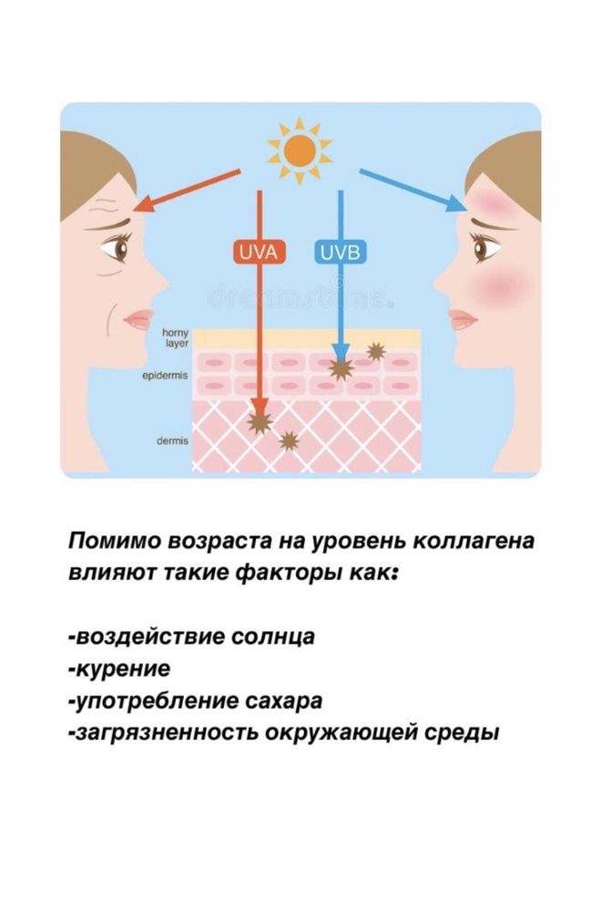 Коллаген США гилауроновая кислота, витамин С колаген калаген