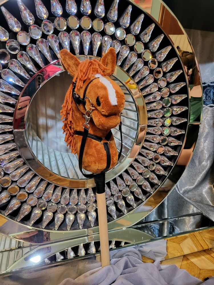 Hobby horse rudy