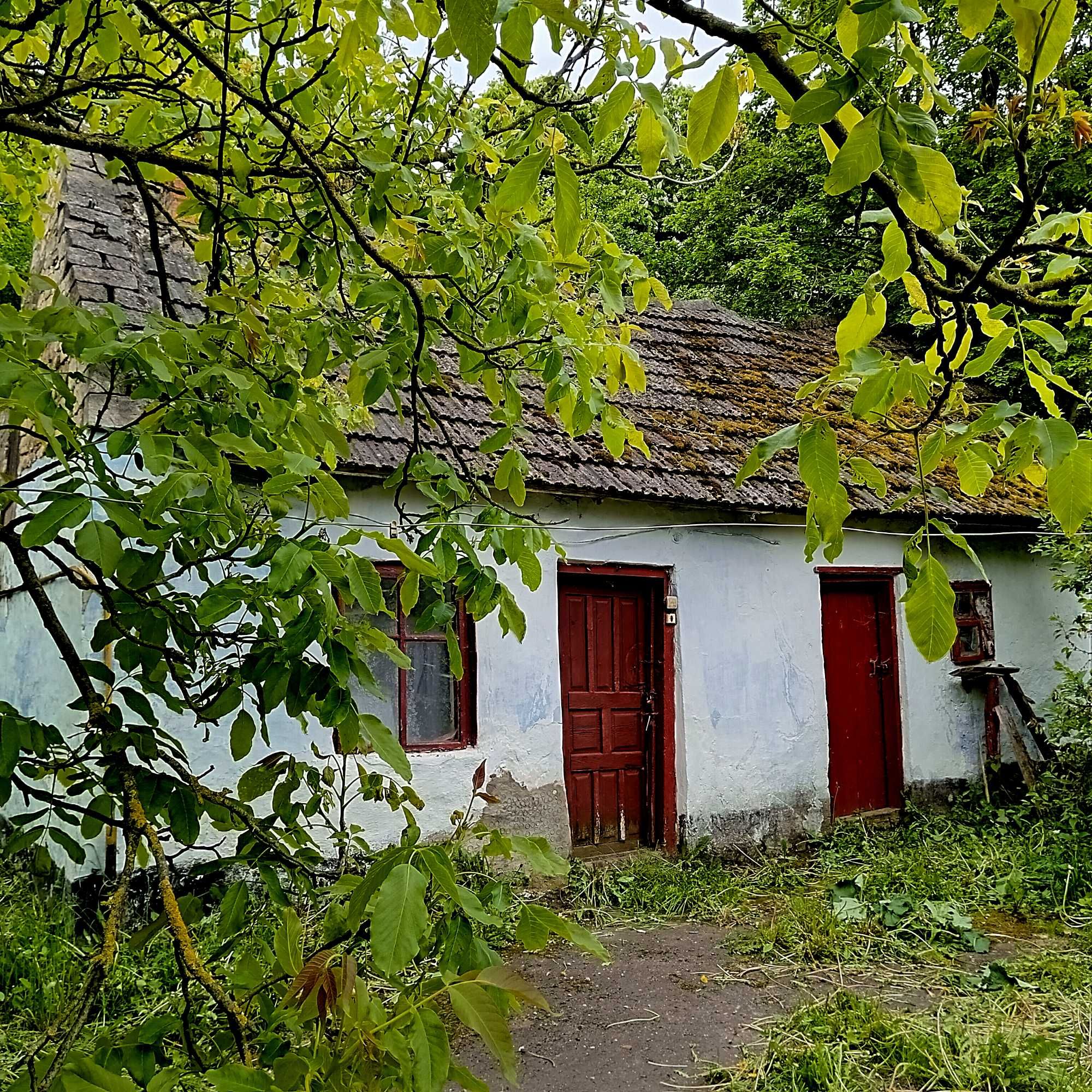 Продається будинок в с.Куропатники