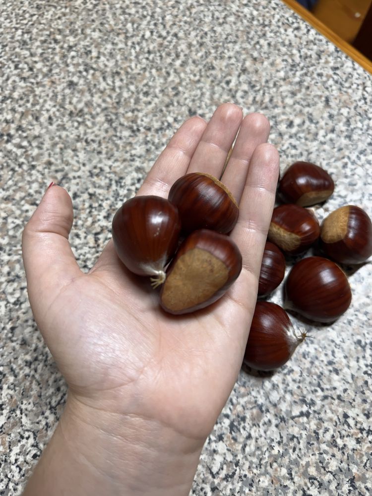 Castanhas 3€/kg