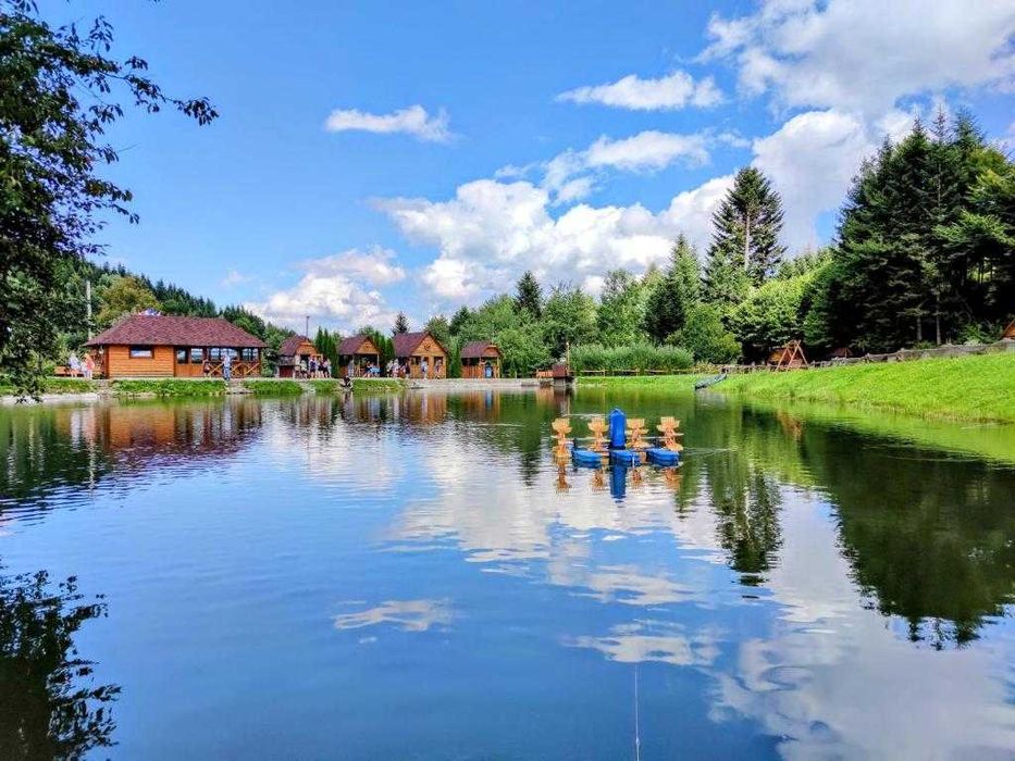 Відпочинково- оздоровчий комплекс ОПАКА з форельником