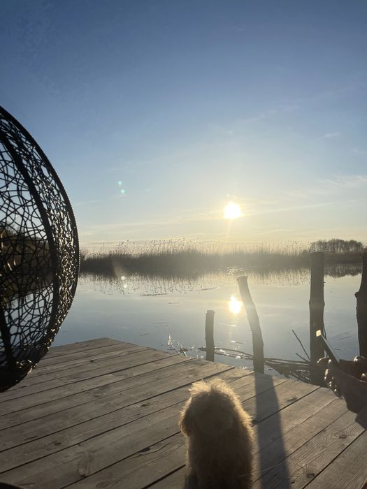Оренда будинку (база відпочинку) In wood