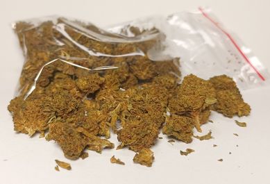 White Widow Marihuana THCP 28% Ganja (bez HHC-O) CBD susz pakiet 5g