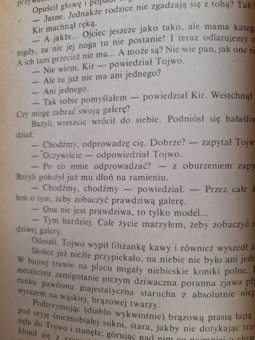 Fale tłumią wiatr Strugacki