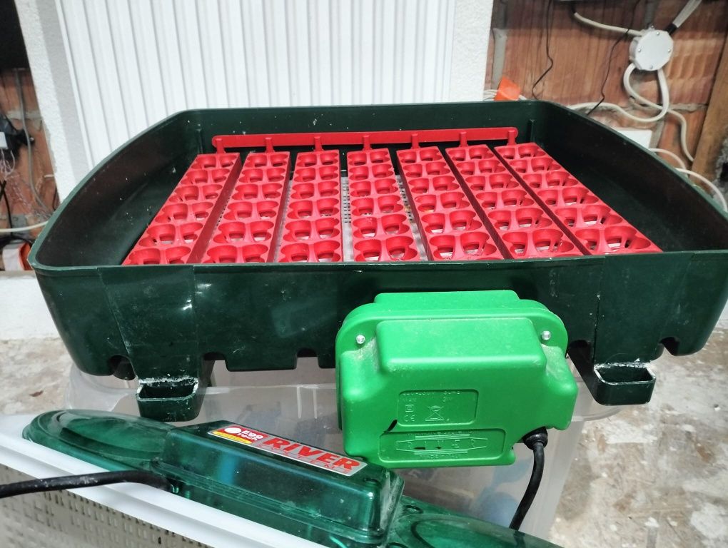 Inkubator na jajka