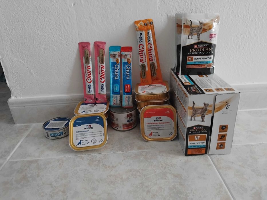 Conjunto de latas e saquetas para gato com oferta