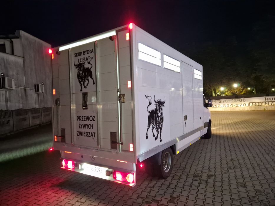 Sprinter do transportu zwierząt zywca bydła
