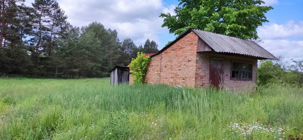 Продається будинок у с.Нечаївка-2