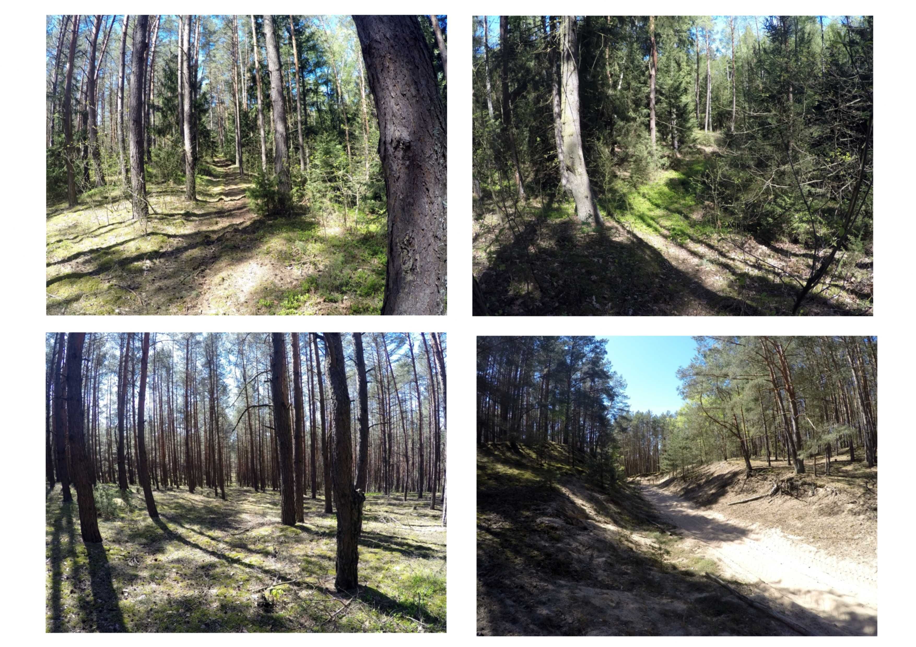 Oborczyska - działka budowlana o powierzchni 1800 m2